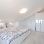 Abros Potkrovlje